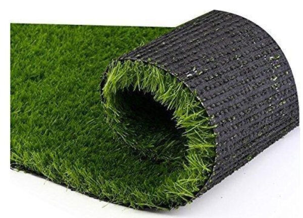Turf Grass - Image 2