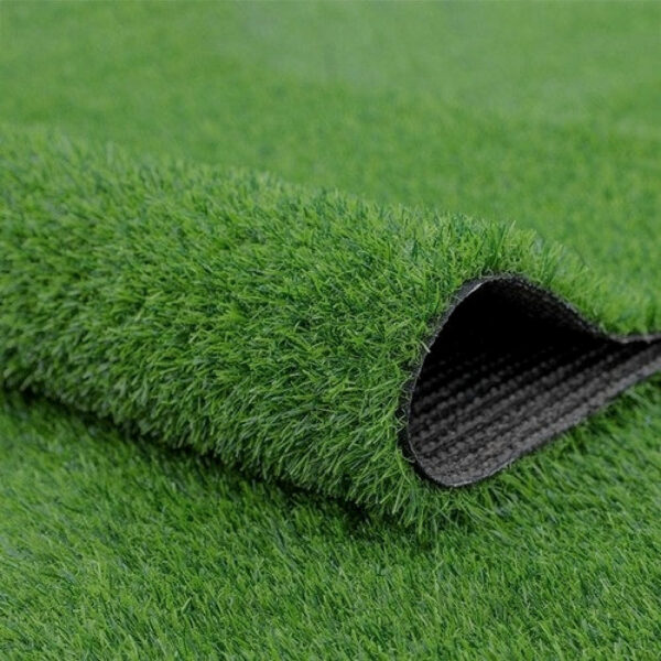Turf Grass